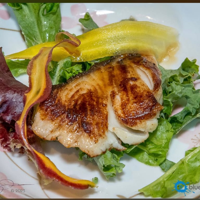 Discover Miso Delights